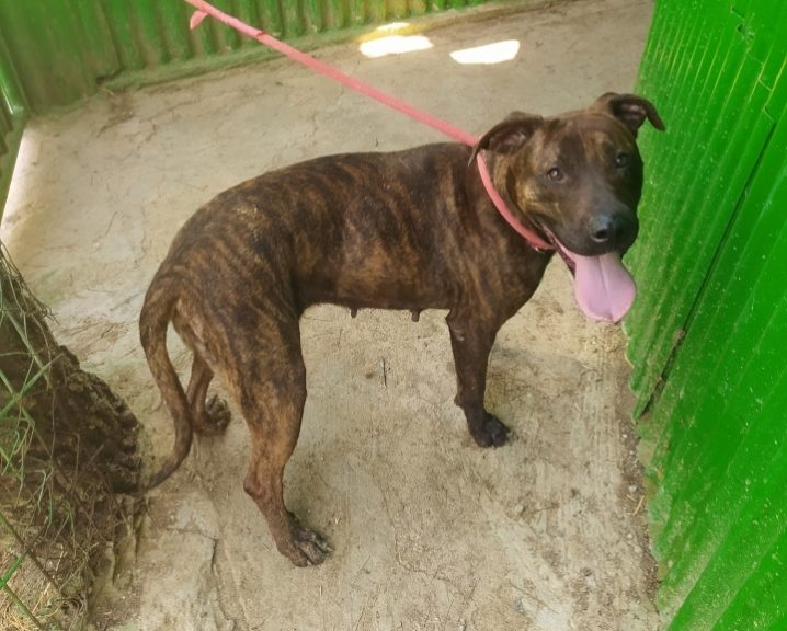 07ebc258 0a1b 46ad a521 79abf5d08af6