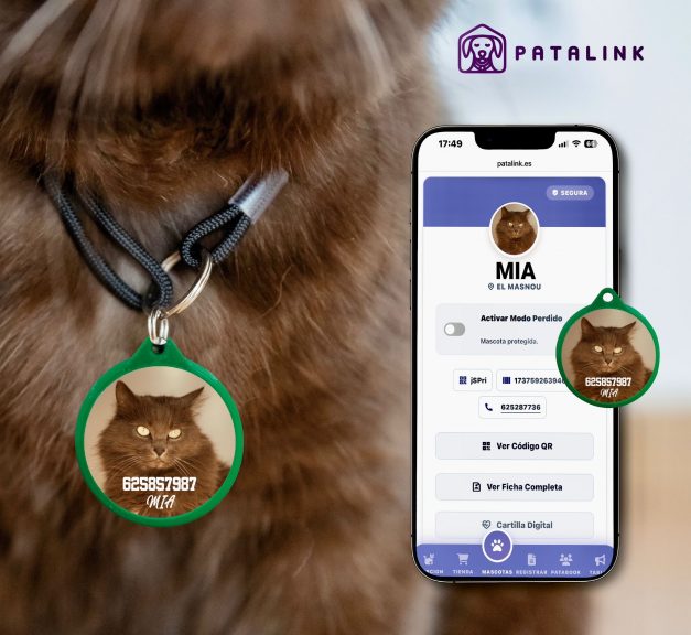 Placa Personalizada con NFC